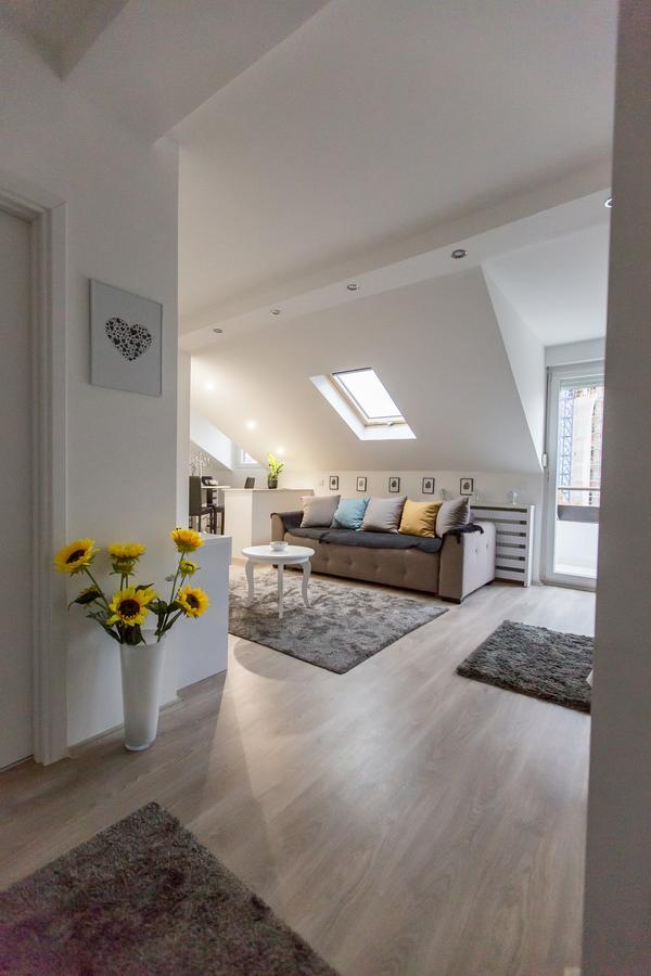 Ferienwohnung Stan Na Dan Angel Novi Sad Exterior foto