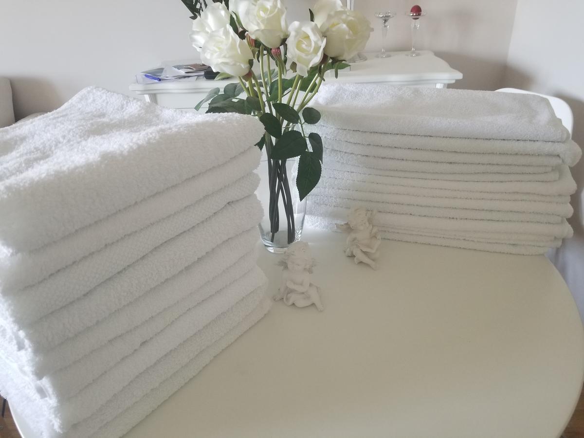 Ferienwohnung Stan Na Dan Angel Novi Sad Exterior foto