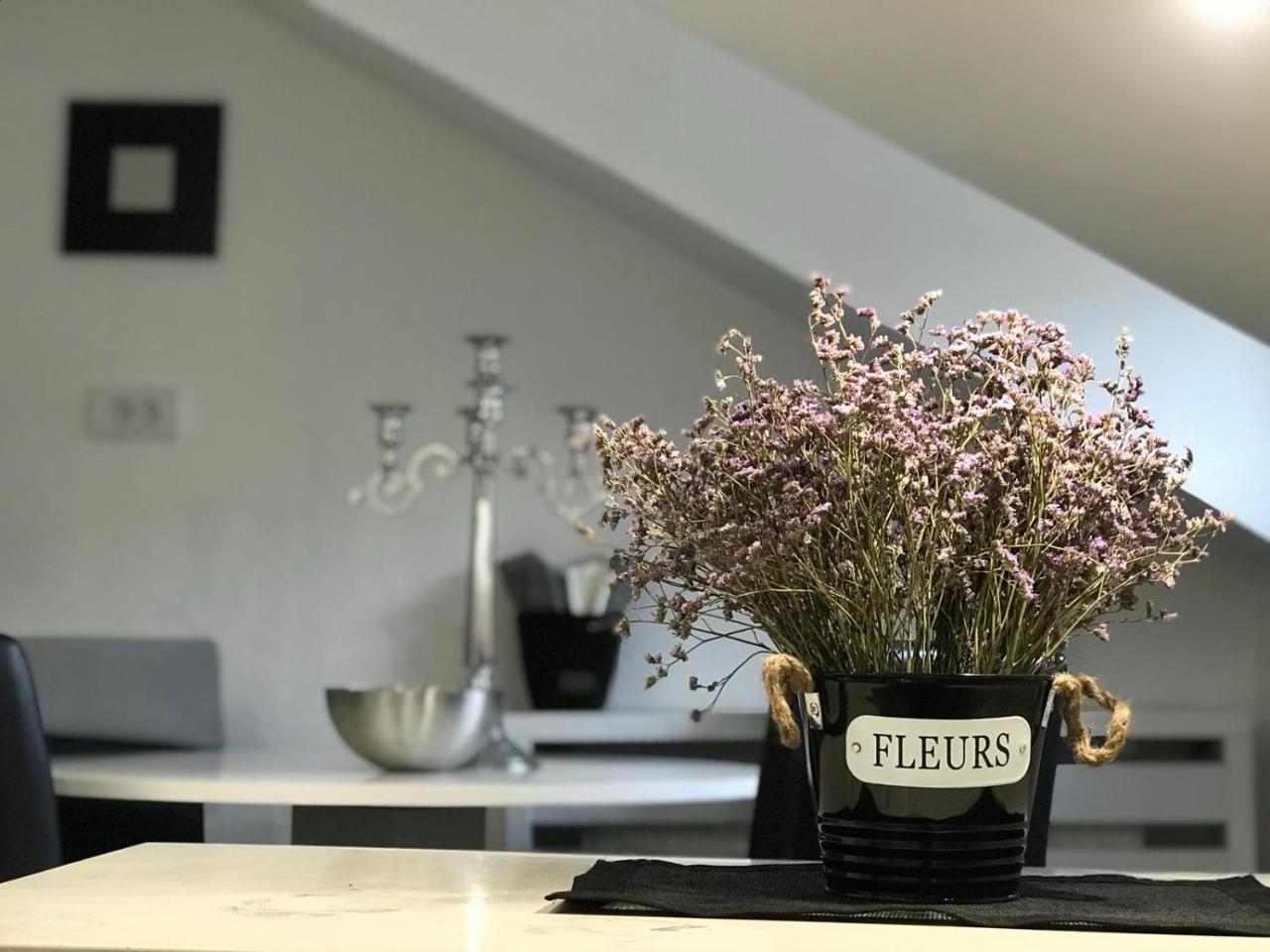 Ferienwohnung Stan Na Dan Angel Novi Sad Exterior foto