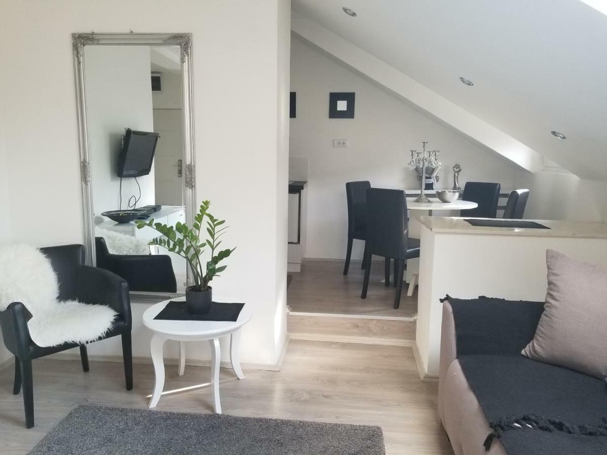Ferienwohnung Stan Na Dan Angel Novi Sad Exterior foto