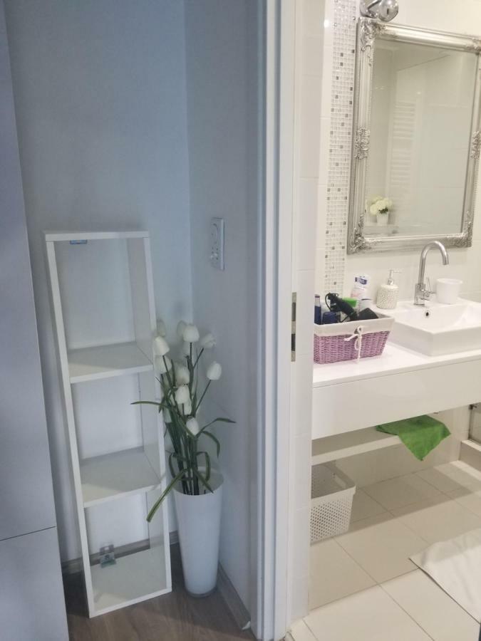 Ferienwohnung Stan Na Dan Angel Novi Sad Exterior foto